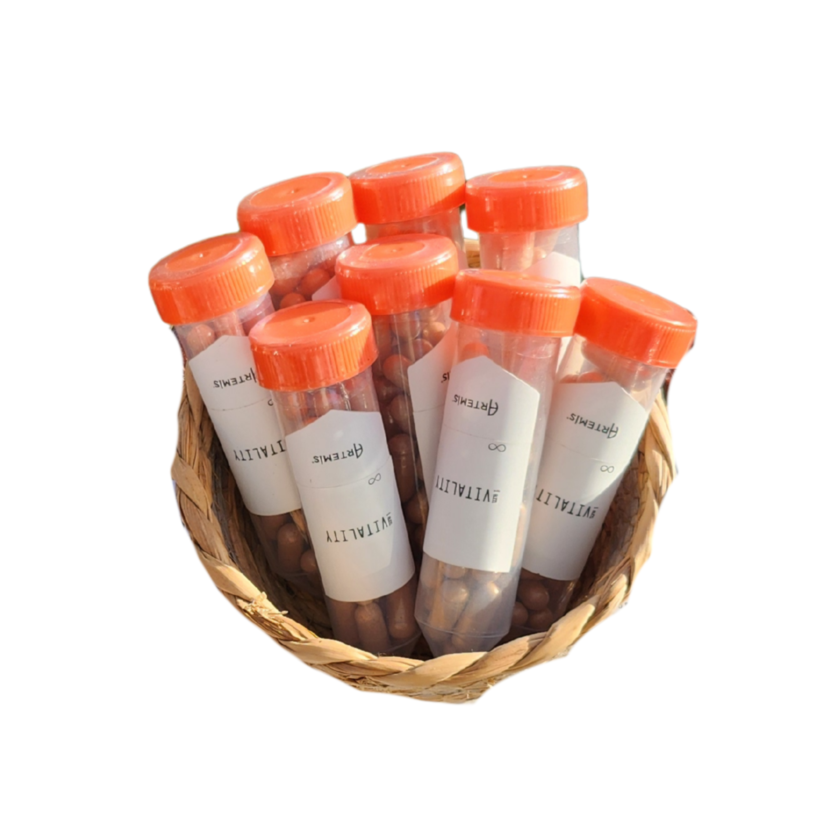 Rebirth Mushroom Superfood Capsules